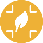 Sustainability 2 sustainability icon